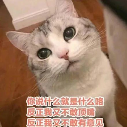 鹤山人持续降雨来了至于台风