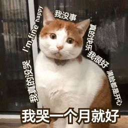 盘点10多种祛黑头的方法后,华西皮肤科医生简单管用少花钱的是