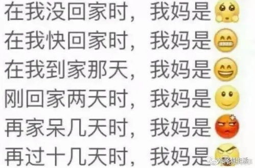 大熊猫变身流浪猫,你中招没