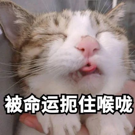 表情包我好想你