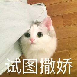 撩人专用表情包表情包