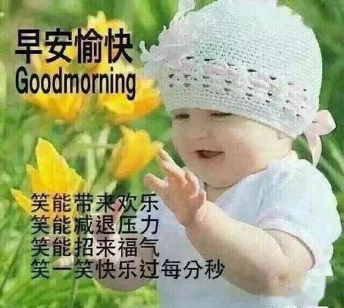 与其多心,不如少根筋没心没肺,才能活着不累,早安那只手