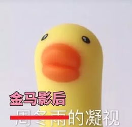 小黄鸭表情包周冬雨佛系