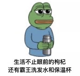 株洲这家高颜值健身房放大招,周末年卡仅399元