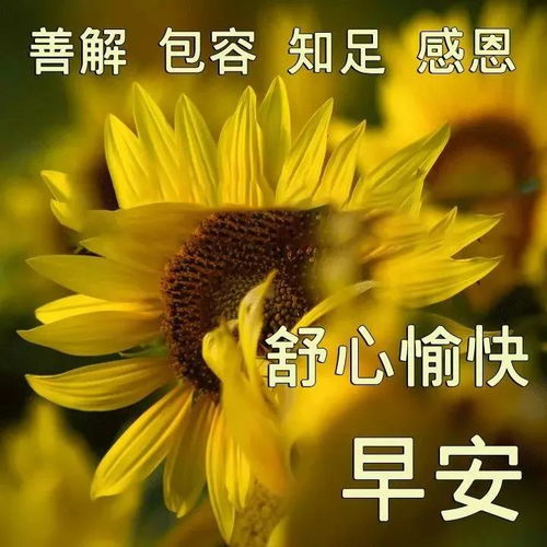 早上好动图表情2021年最新版早上好动图表情包微信