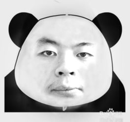 怎么把照片做成表情