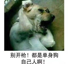 七夕关我何事之