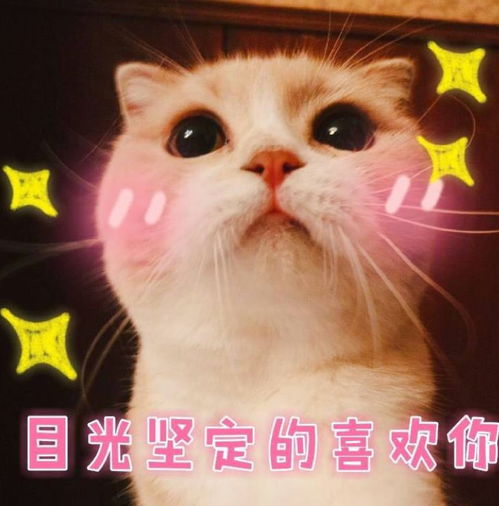 拒绝撞包拒绝吃土这些小众轻奢包你值得拥有