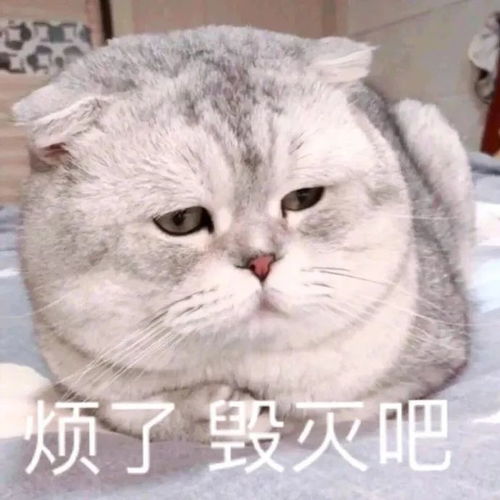 沙雕搞笑表情包狗命重要我想去睡了