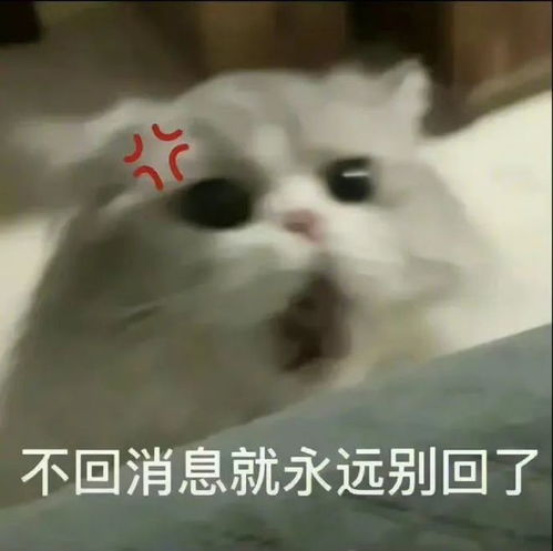 e句话他们家也是预制菜啊