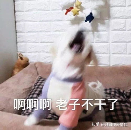 微信表情包图片最适合发朋友圈的经典找骂