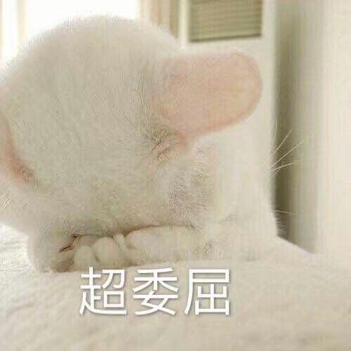 在哪一刻你觉得你和朋友再也做不成朋友了
