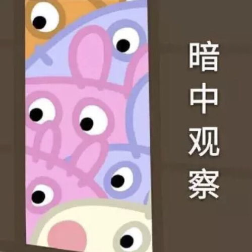 有小仙女用过香缇卡未来肌肤粉霜嘛
