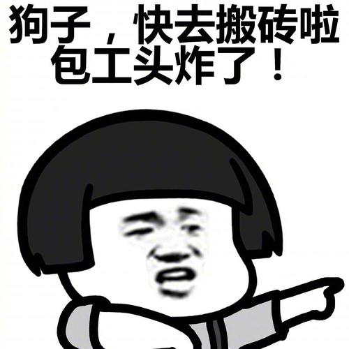 我要上班挣钱的图片我要上班了,搬砖的图片上班表情包图片大全