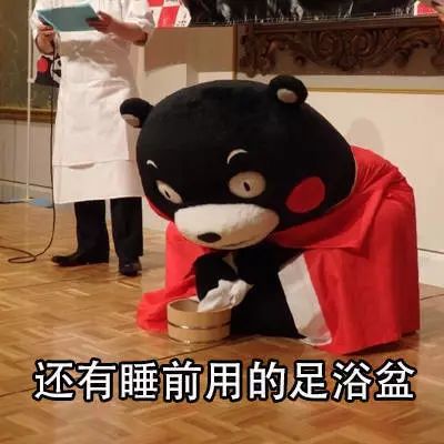 达菲熊表情包胸前