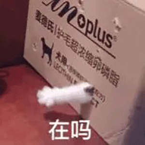 聊天斗图表情包你很拽吗