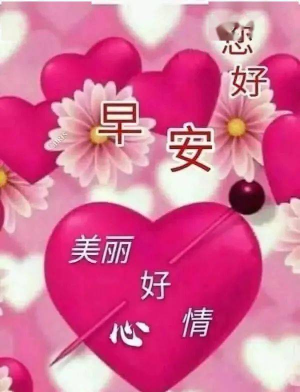 最棒的早上好动态表情包图片最棒的早安短信祝福语