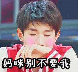 妈妈粉必存表情包,你值得拥有