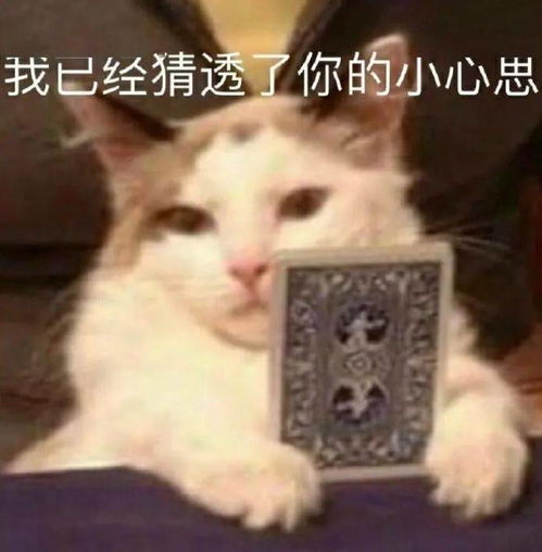 神装秀为什么我总是被精准打击这位高敏异人真有这么丝滑