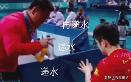 盘点奥运上的怂教练有人提包端水,有人被爱徒狂怼不敢说话
