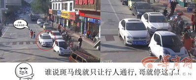 交警把交通违法的人做成了表情包火了