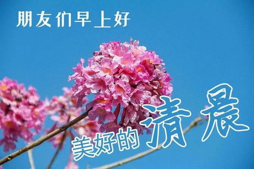 下午好表情图大全最新下午好问候动态表情图片冬季早晚防寒问候图片带字温馨