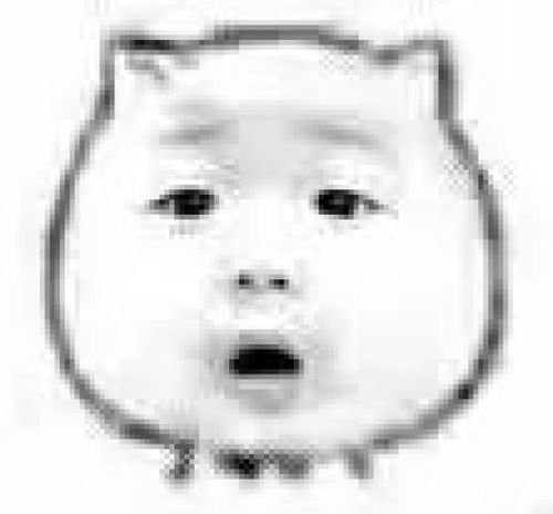 猥琐萌小表情包表情