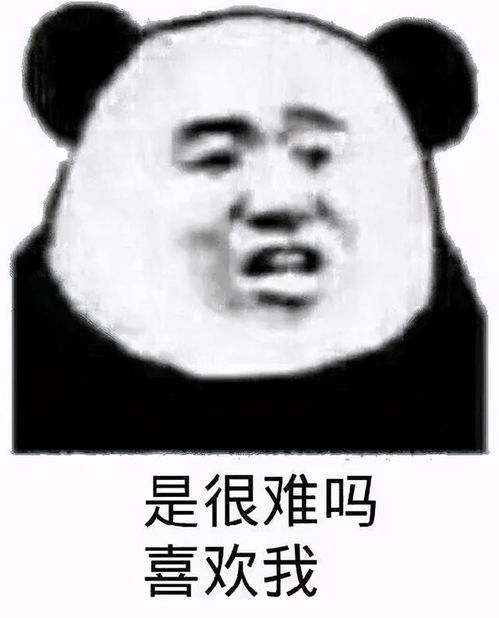 表情包早安,我的小炮友