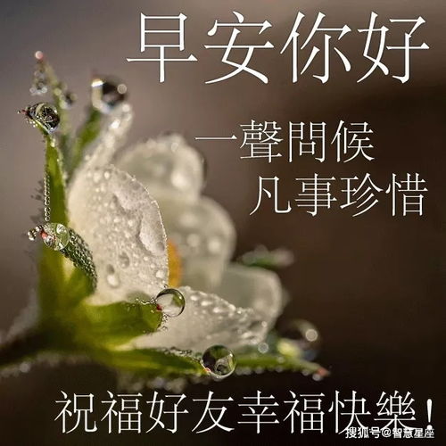 7月6日问候大家早上好动图表情美女2021,清晨祝福早上好问候语温馨语录