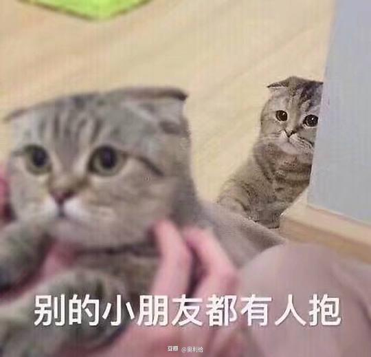 奥利给的相册猫猫表情包