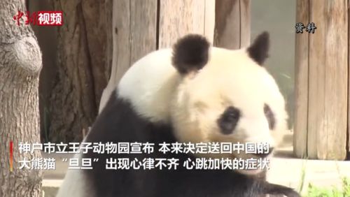 无标题