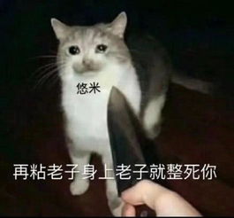 theshy使用悠米开创新玩法夏季赛悠米将登陆职业赛场