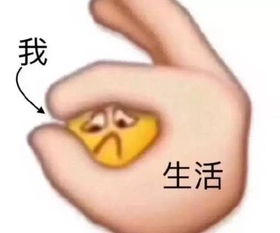 十条笑话你比老鼠挑剔,老鼠一个饭团就可以,你还要吃蛋糕
