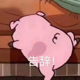lv雅诗兰黛gucci......大牌猪年神设计,够我笑上一整年