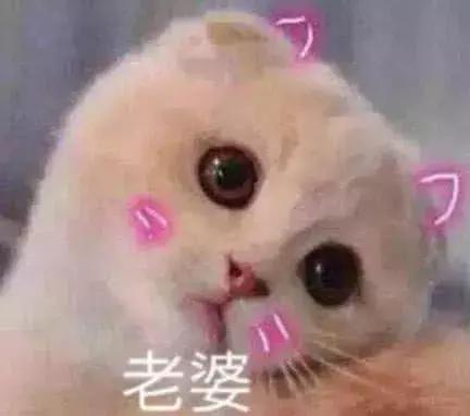 知道为什么女汉子越来越多吗因为大家闺秀书香气质是不好装