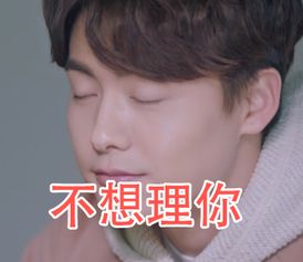 手机里马天宇表情包