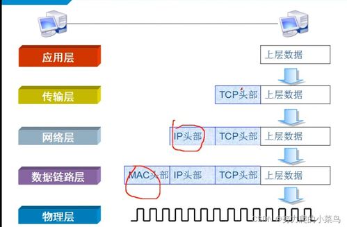 二七层参考模型五层模型封装与解封装
