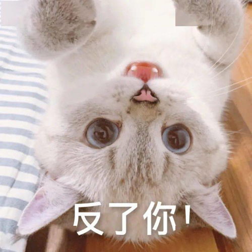 表情包图片快删除,脑子里有画面了