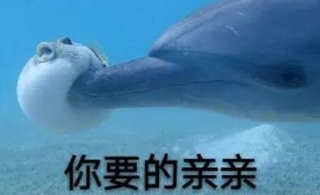 有剧毒,不能吃严重可致命无特效药