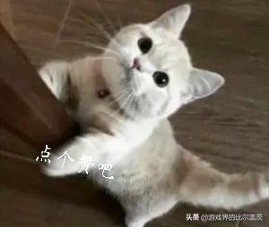 两只猫抱一起表情包小鱼干