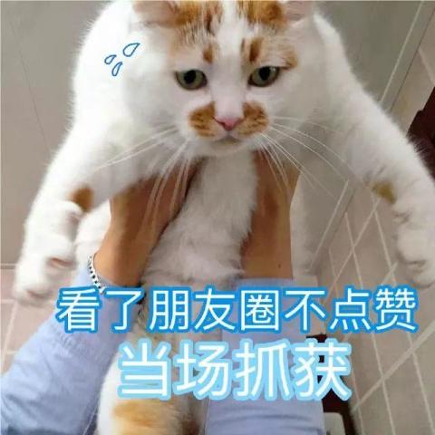 合适发朋友圈的表情包,欢迎来到穷困潦倒的朋友圈