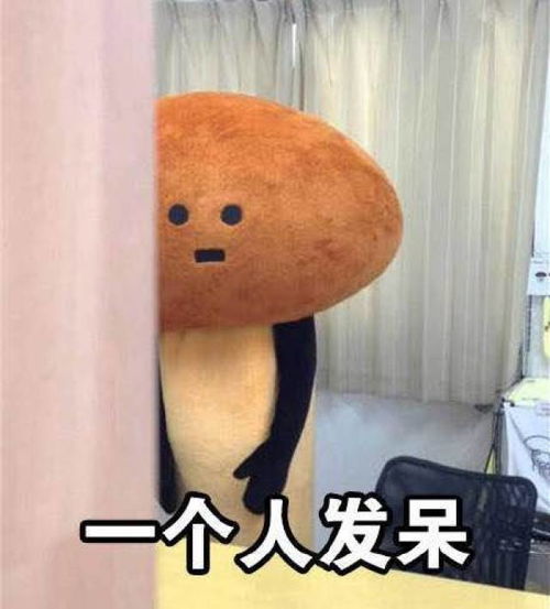 逛街嘿,这里有只单身狗