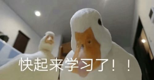 破案了为啥一到冬天起床就特别困难真不是因为懒