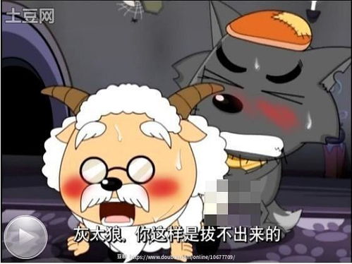 我的收藏