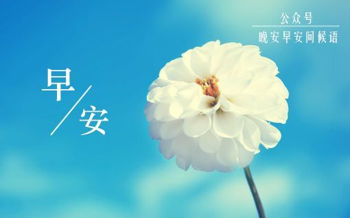 早安问候语每日更新微信早安问候语