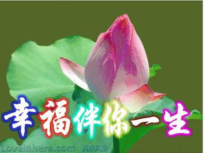 最美好的祝福送给所有的朋友,祝你们开心快乐,心想事成