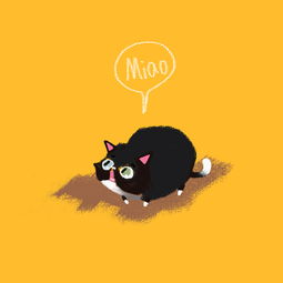 小胖墩和她的猫