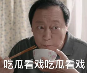 从王思聪吃热狗到苏大强表情包