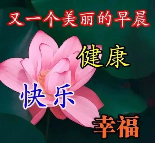 9月30日最美早上好祝福动态图清晨鸟语花香早上好动态图表情