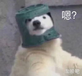 双十一除了买买买,还能干点啥